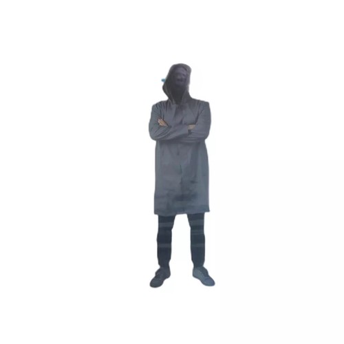 Karneval fasching teiler - karneval,